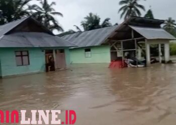 Camat Isa Ali Duga Banjir Akibat Aktivitas Peti di Hutan Taluditi