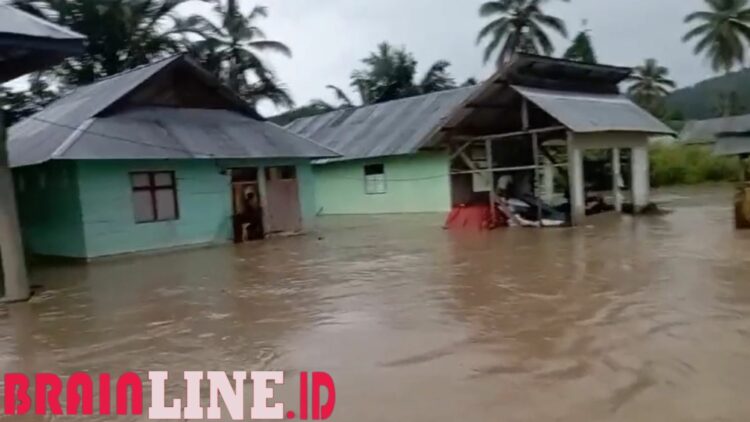 Camat Isa Ali Duga Banjir Akibat Aktivitas Peti di Hutan Taluditi