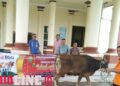Peduli Sesama, BSG Salurkan Bantuan Hewan Kurban untuk Kabupaten Pohuwato