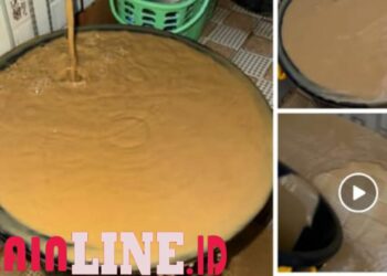 Pembiaran Aktivitas PETI, Pemerintah dan DPRD Gagal Lindungi Hak Dasar Warga Popayato