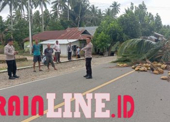 Pohon Tumbang Putus Kabel Listrik, Kapolres Pohuwato Imbau Warga Waspada Cuaca Ekstrem