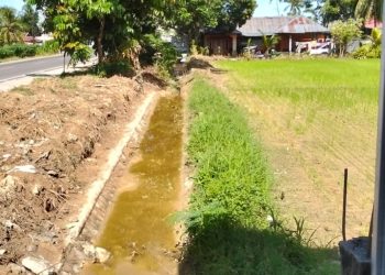 Ekskavator Terus Bekerja, Penambang dan Petani Duhiadaa Gotong Royong Atasi Sedimen